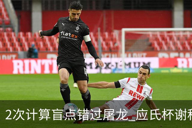 2次计算盲点错过屠龙 应氏杯谢科1点之差负一力辽